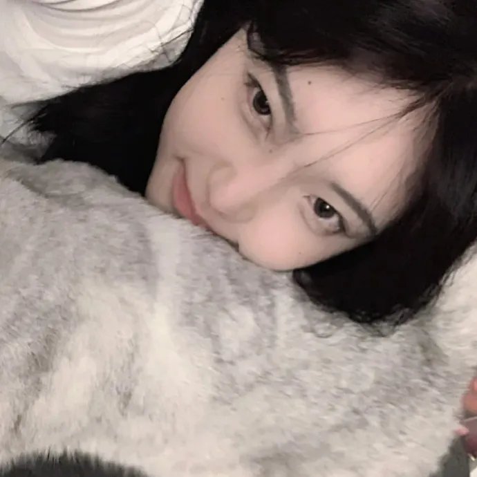 石榴花开
